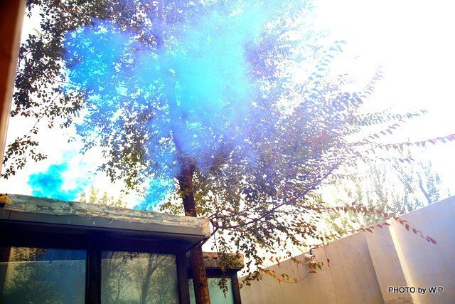 朝阳教委民办幼儿园园长观摩可儿幼儿园防恐、防火常识及安全疏散演习