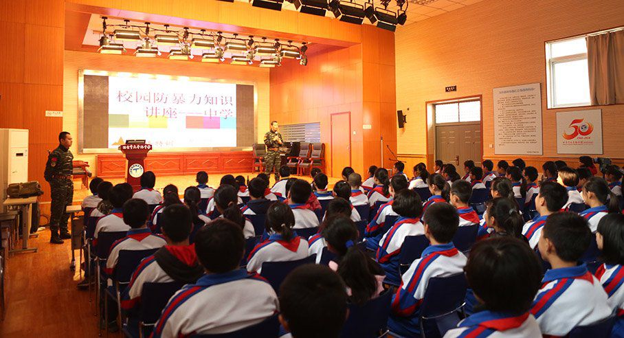太平路小学校园防暴力知识讲座