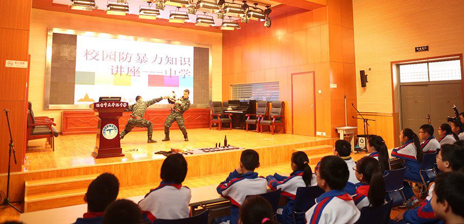 太平路小学校园防暴力知识讲座