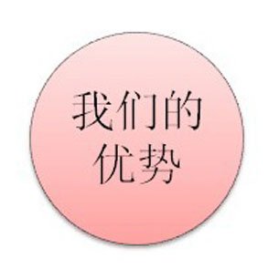 我们的优势