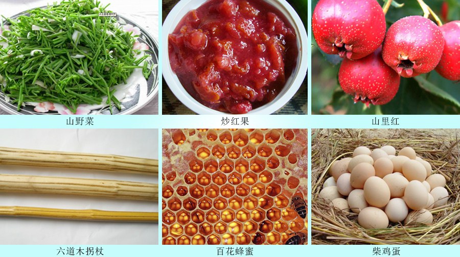 春游去喽!——春暖花开,携子踏青