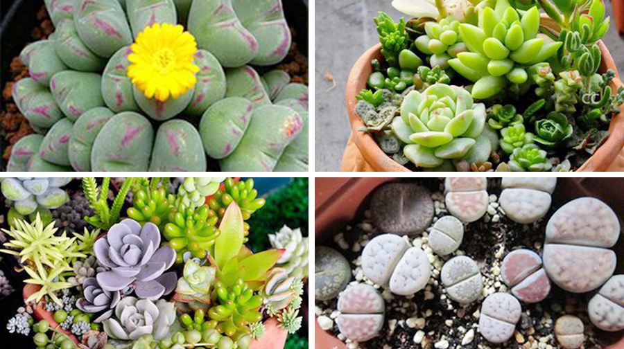 春游去喽!——春暖花开,携子踏青