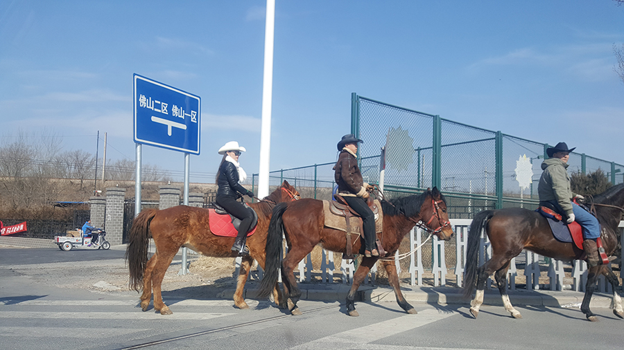 20170212_113227.jpg 20170212_113227.jpg