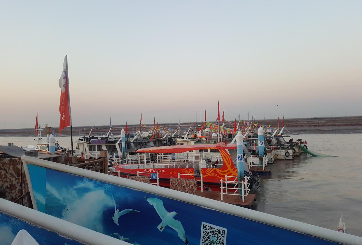 图片10.png 图片10.png