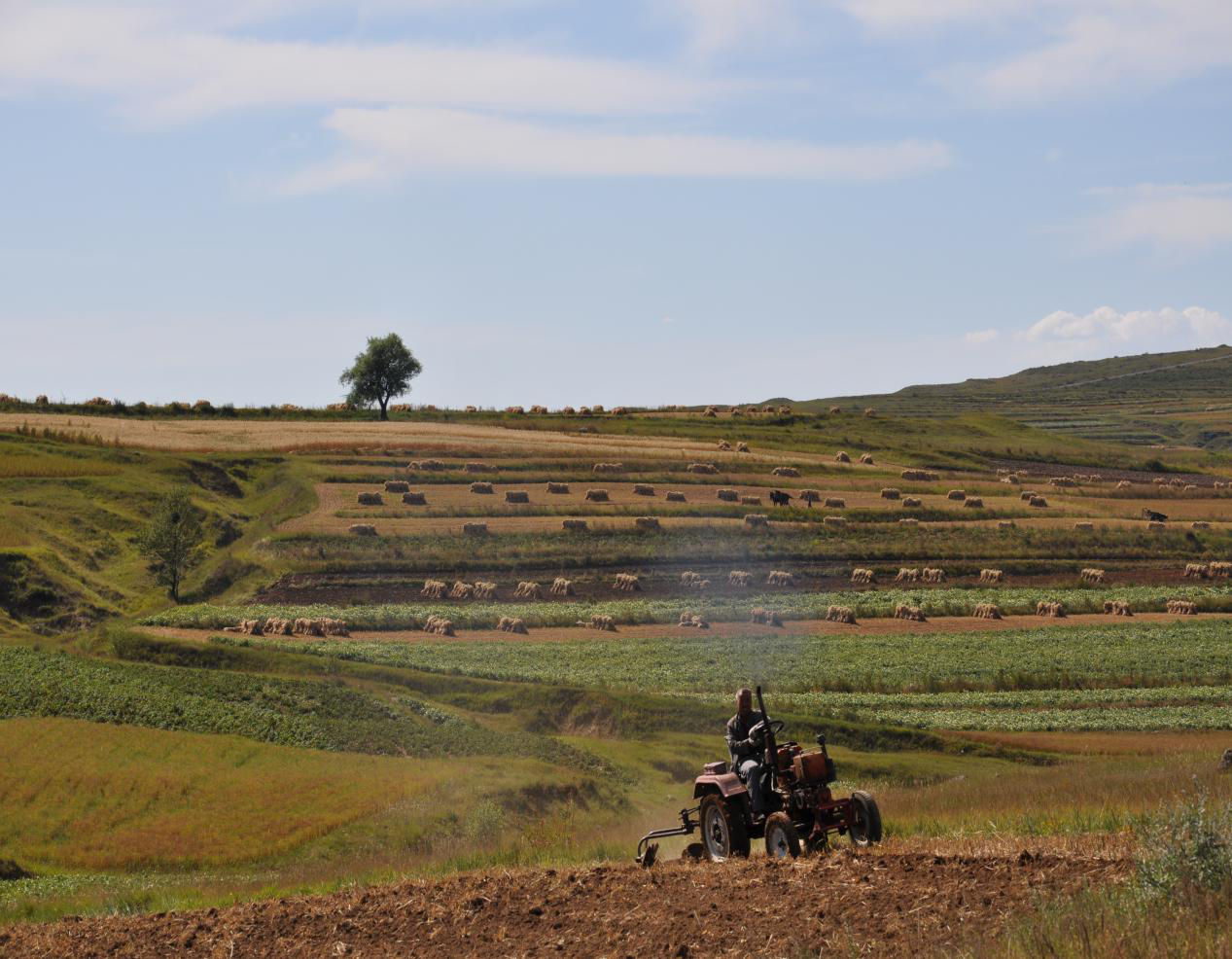 图片12.png 图片12.png