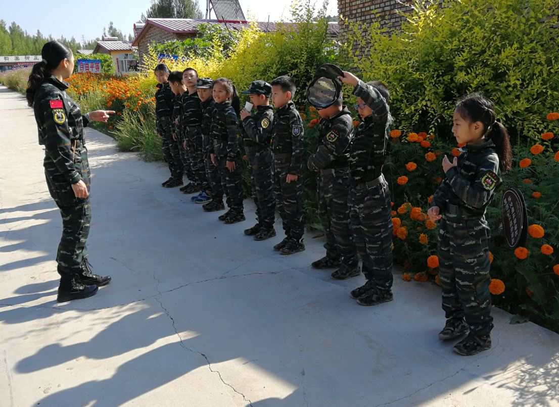 图片13.png 图片13.png