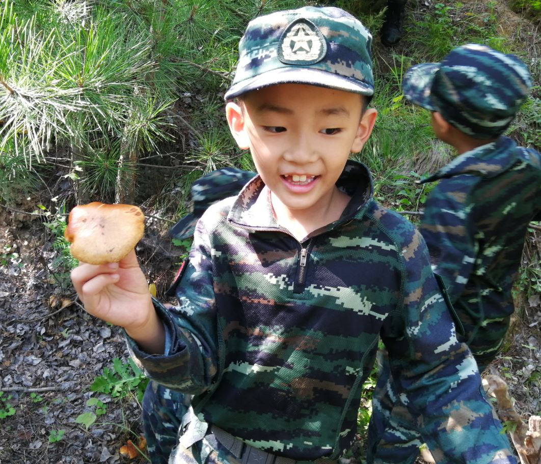 图片17.png 图片17.png