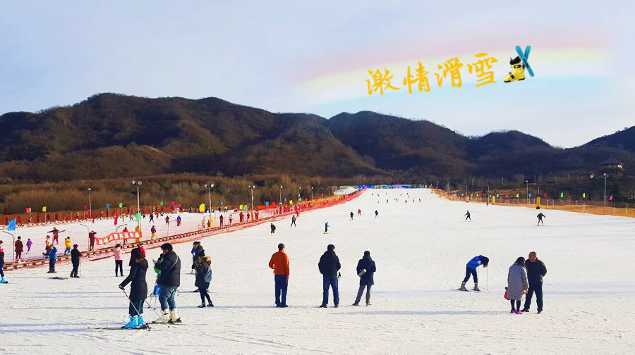 图片5.png 图片5.png